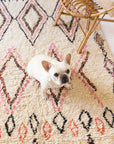 Gemma Shag Rug