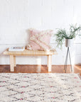 Paloma Shag Rug
