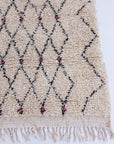 Paloma Shag Rug