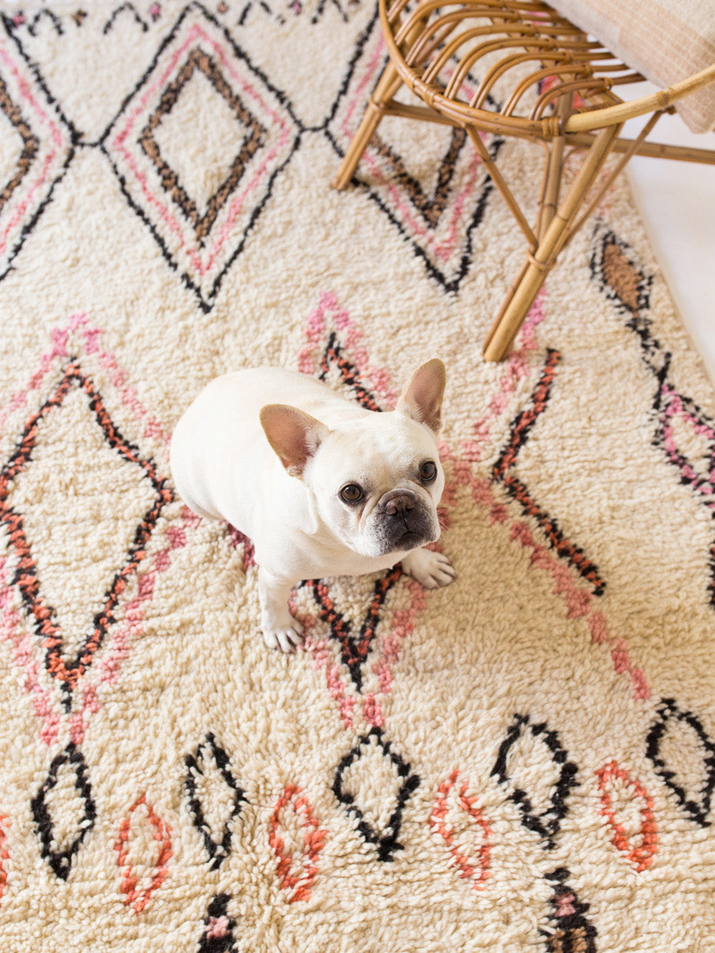 Poppy Shag Rug