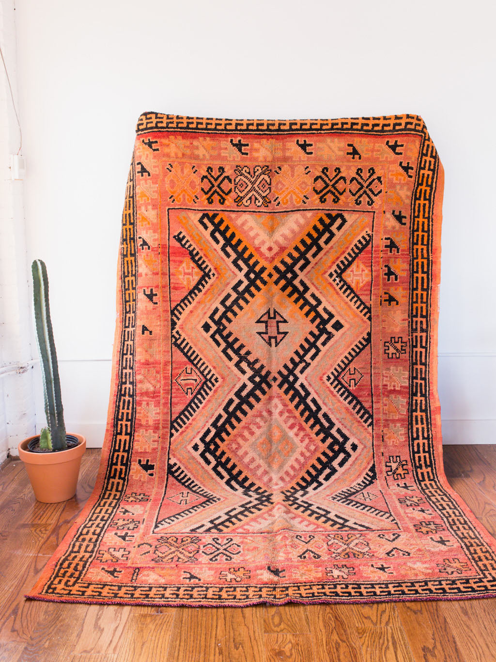 Ava Rug
