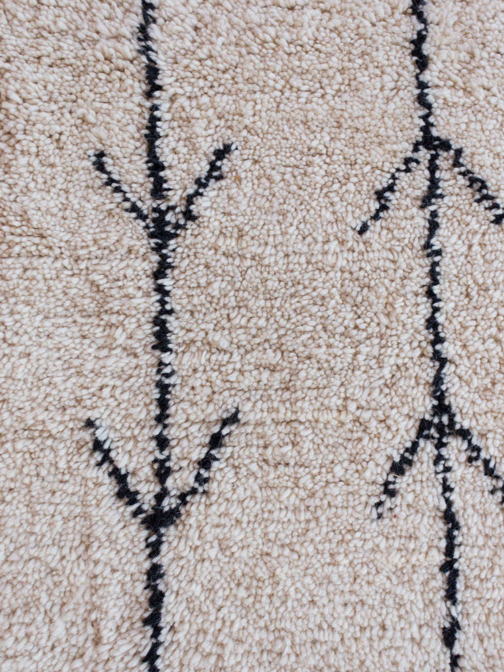 Emerson Shag Rug