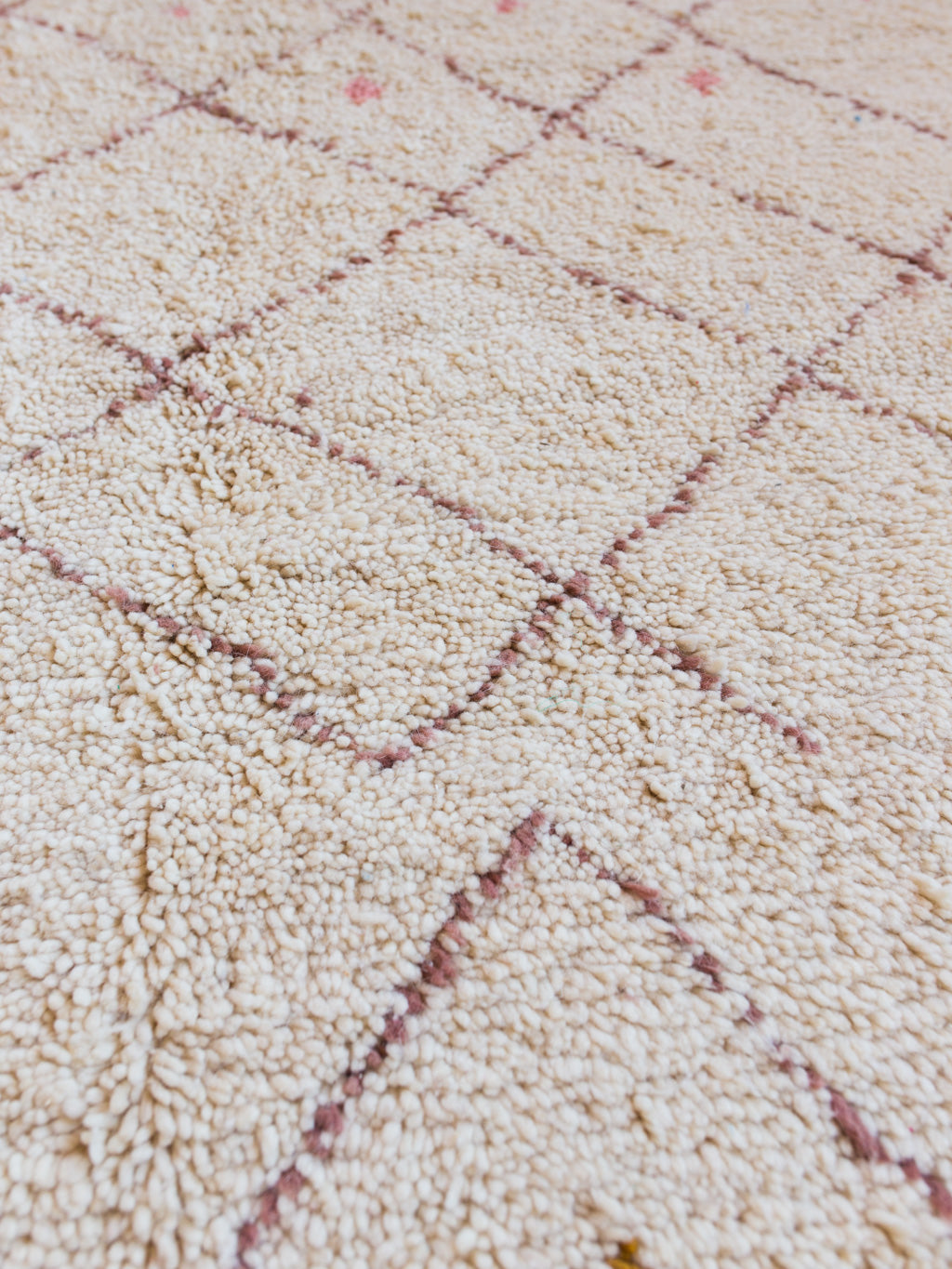 Mathilde Shag Rug
