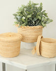 Small Straw Plant Basket